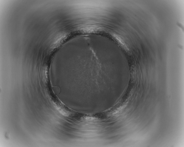 X0000097790590200803211823