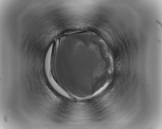 X0000097790593200803211823