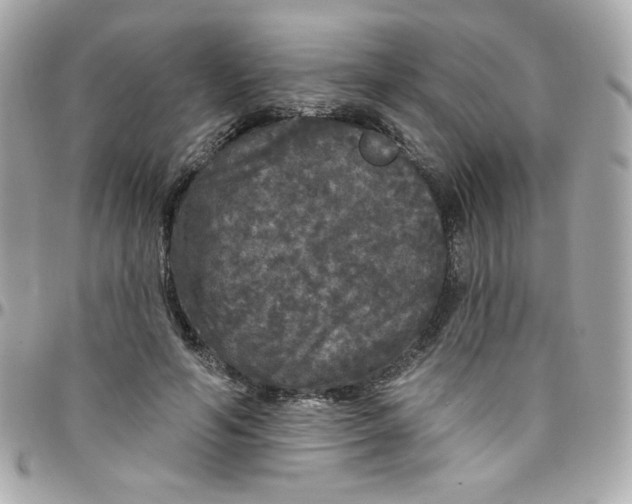 X0000097790594200803211823