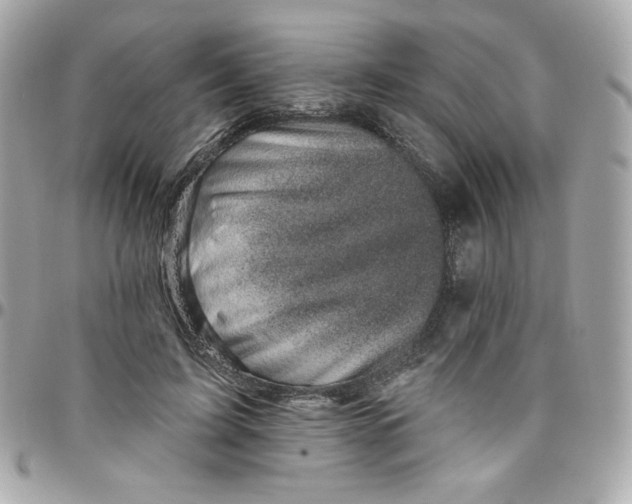 X0000097790595200803211823