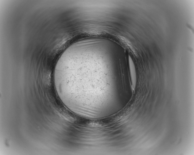 X0000097790596200803211823