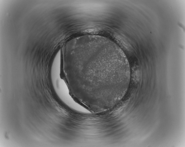 X0000097790597200803211823