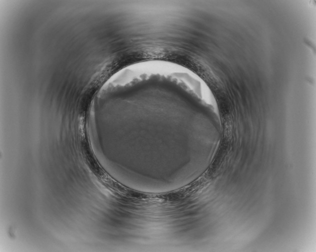 X0000097790598200803211823