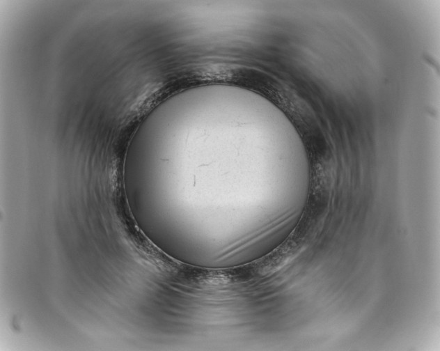 X0000097790600200803211823