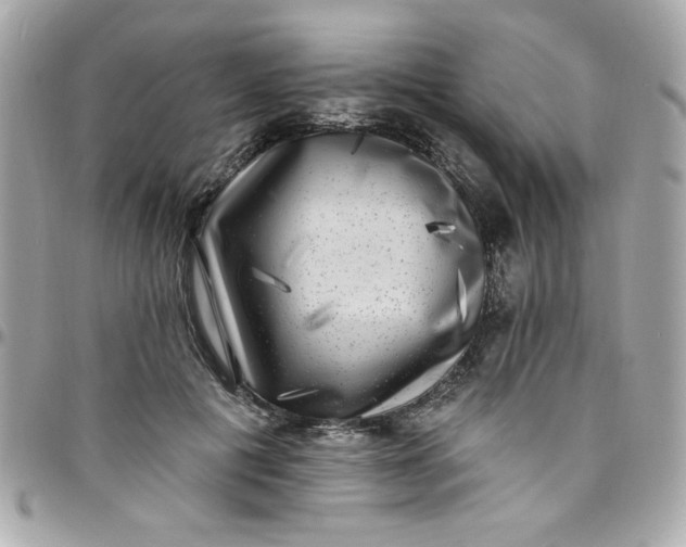 X0000097790601200803211823