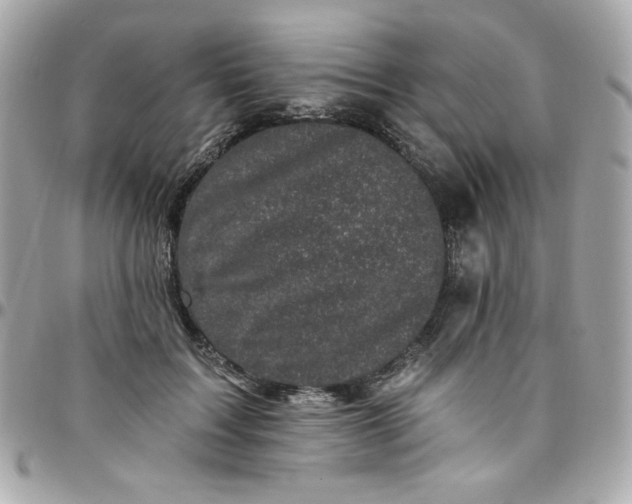 X0000097790603200803211822