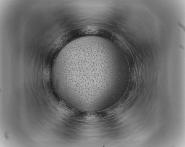 X0000097790604200803211822