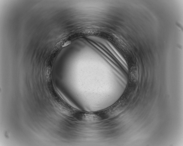 X0000097790605200803211822