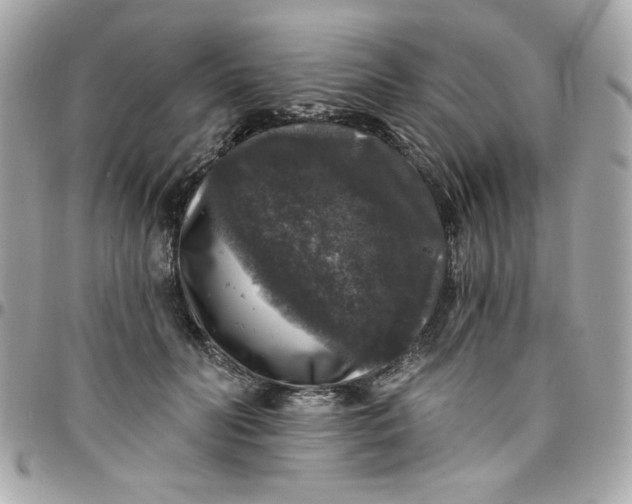 X0000097790606200803211822