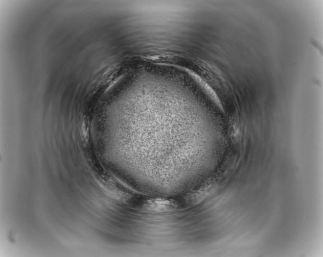 X0000097790607200803211822