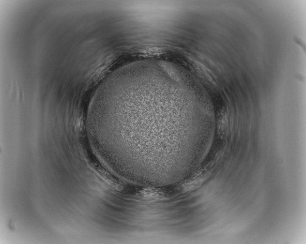 X0000097790608200803211822
