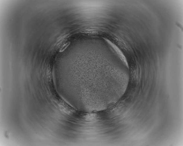X0000097790609200803211822