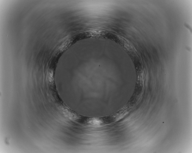 X0000097790610200803211822