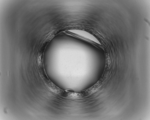 X0000097790611200803211822