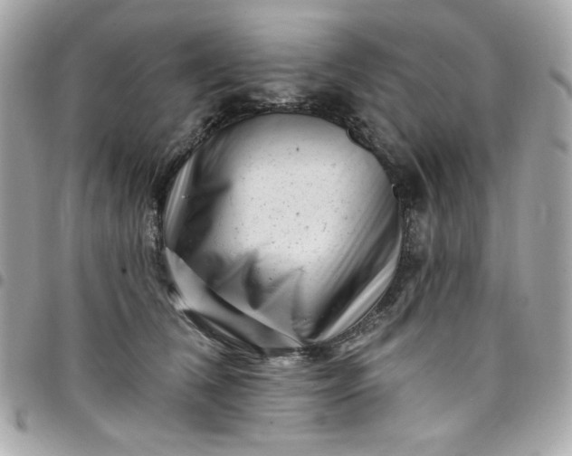 X0000097790612200803211822