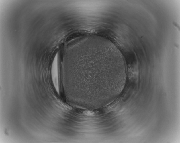 X0000097790613200803211822