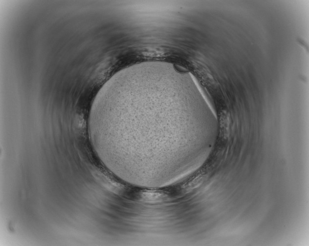 X0000097790614200803211822