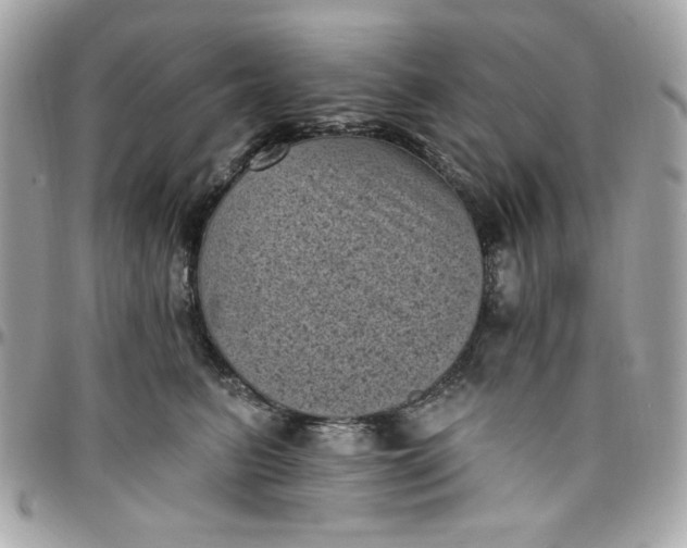X0000097790615200803211822