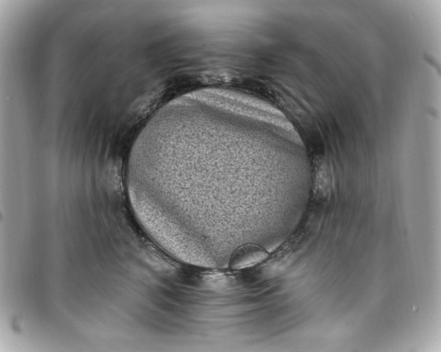 X0000097790616200803211822