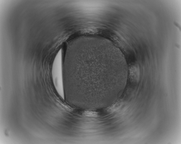 X0000097790617200803211822