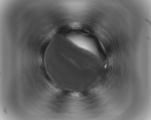 X0000097790618200803211822