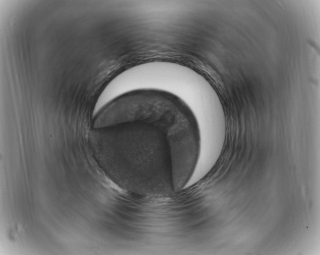 X0000097790621200803211822