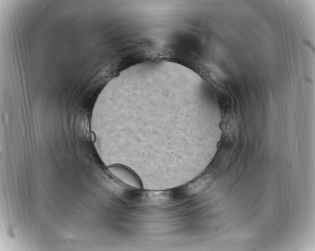 X0000097790622200803211822