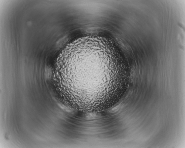 X0000097790623200803211822