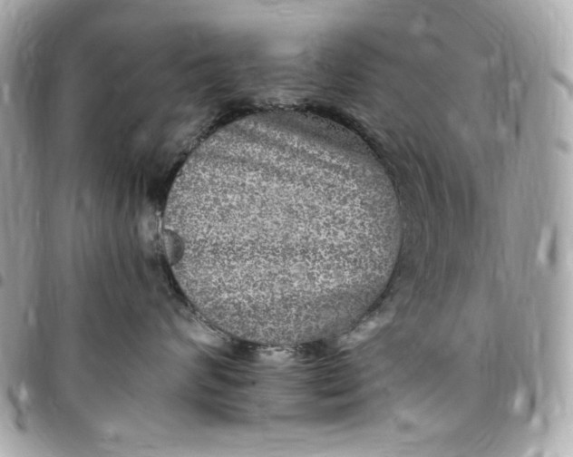 X0000097790624200803211822