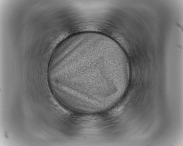 X0000097790625200803211822