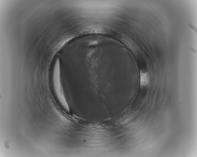 X0000097790627200803211822