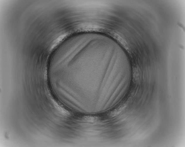 X0000097790629200803211822