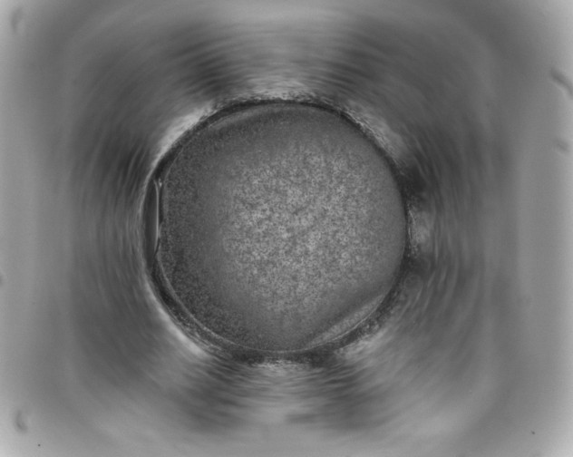 X0000097790630200803211822