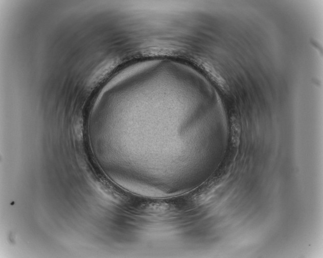 X0000097790631200803211822