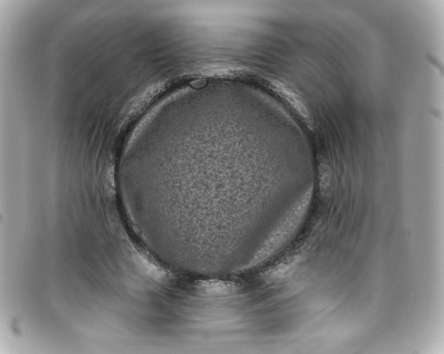 X0000097790633200803211822