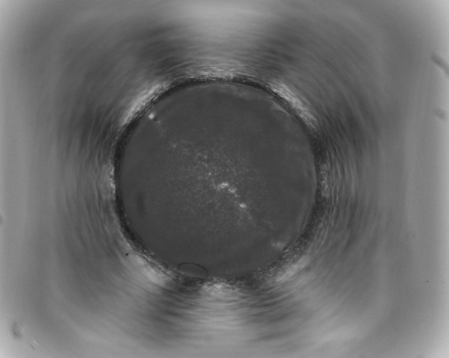 X0000097790634200803211822