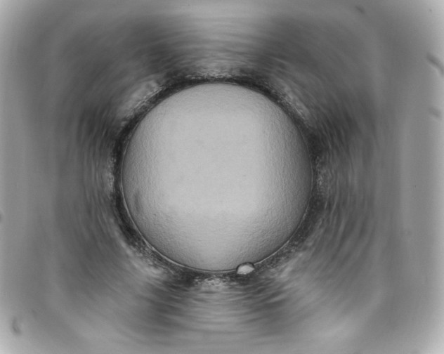 X0000097790635200803211822