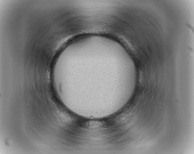 X0000097790636200803211822