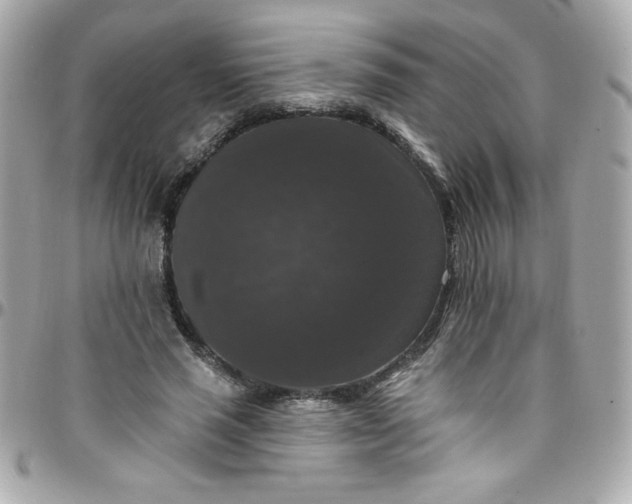 X0000097790637200803211822