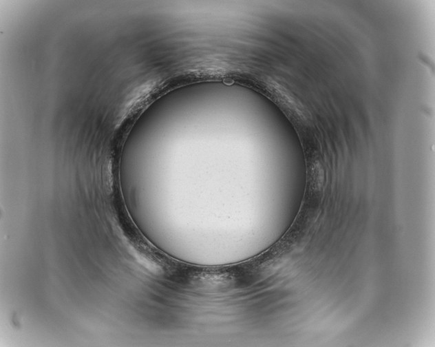 X0000097790638200803211822