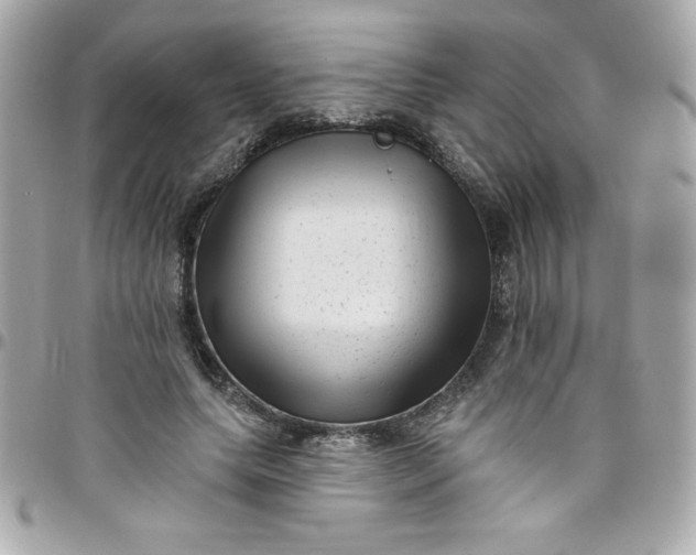 X0000097790639200803211822
