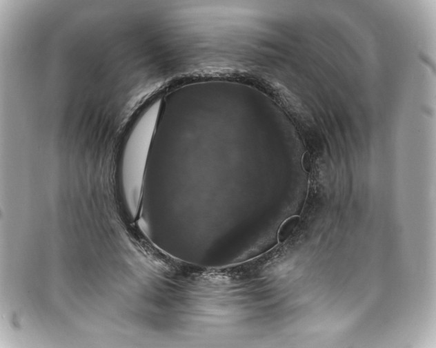 X0000097790640200803211822