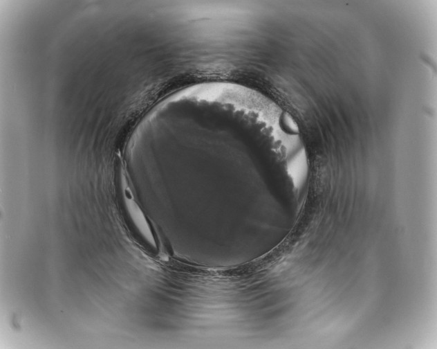 X0000097790641200803211822