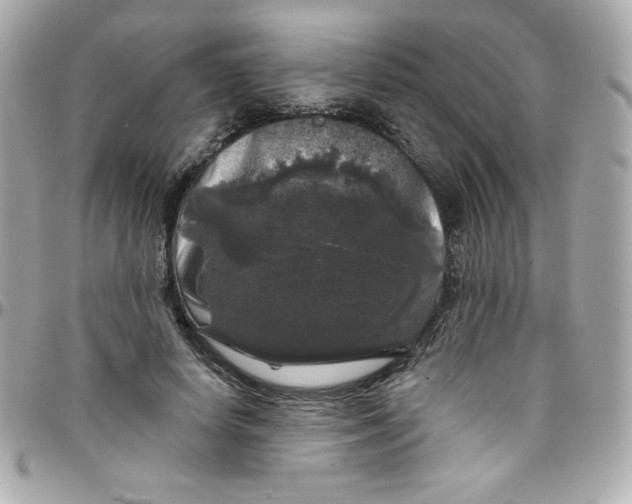 X0000097790642200803211822