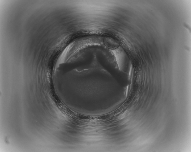 X0000097790643200803211822