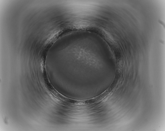 X0000097790644200803211822