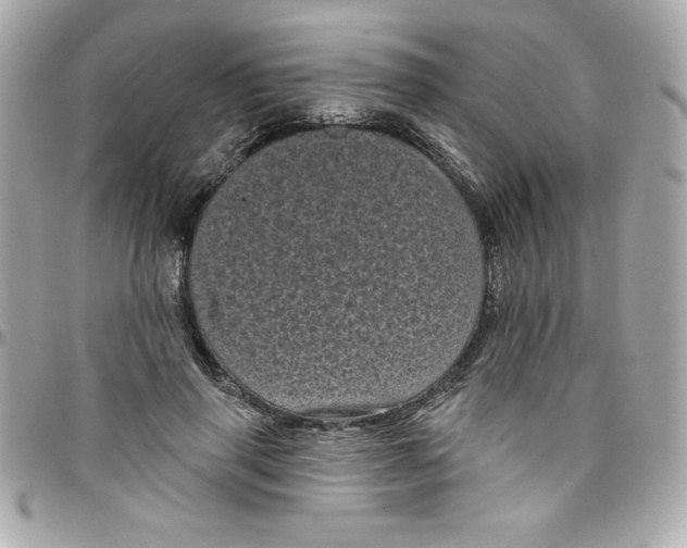 X0000097790645200803211822