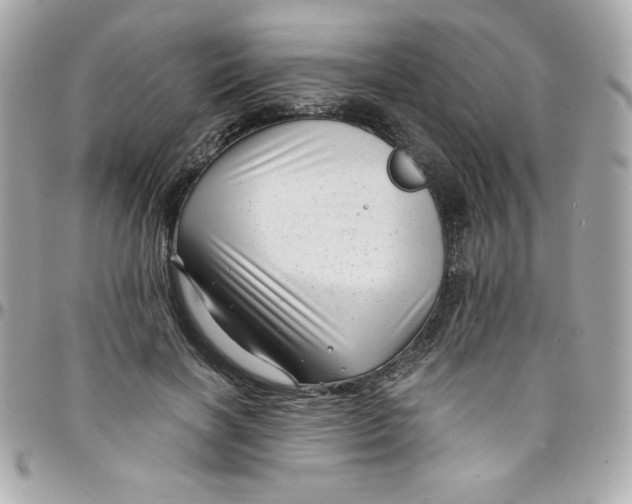 X0000097790646200803211822