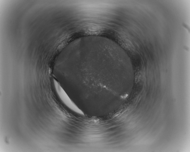 X0000097790647200803211822