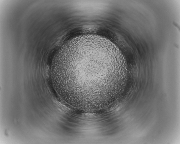 X0000097790649200803211822